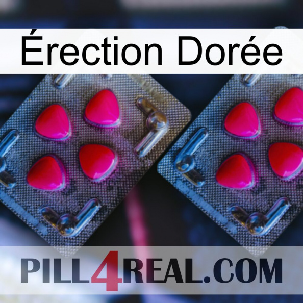 Érection Dorée 14